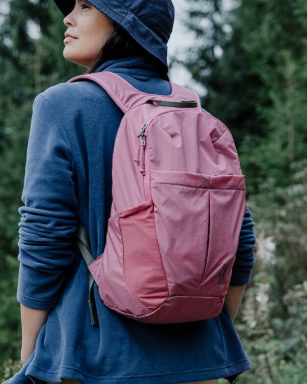 Laptop Backpacks