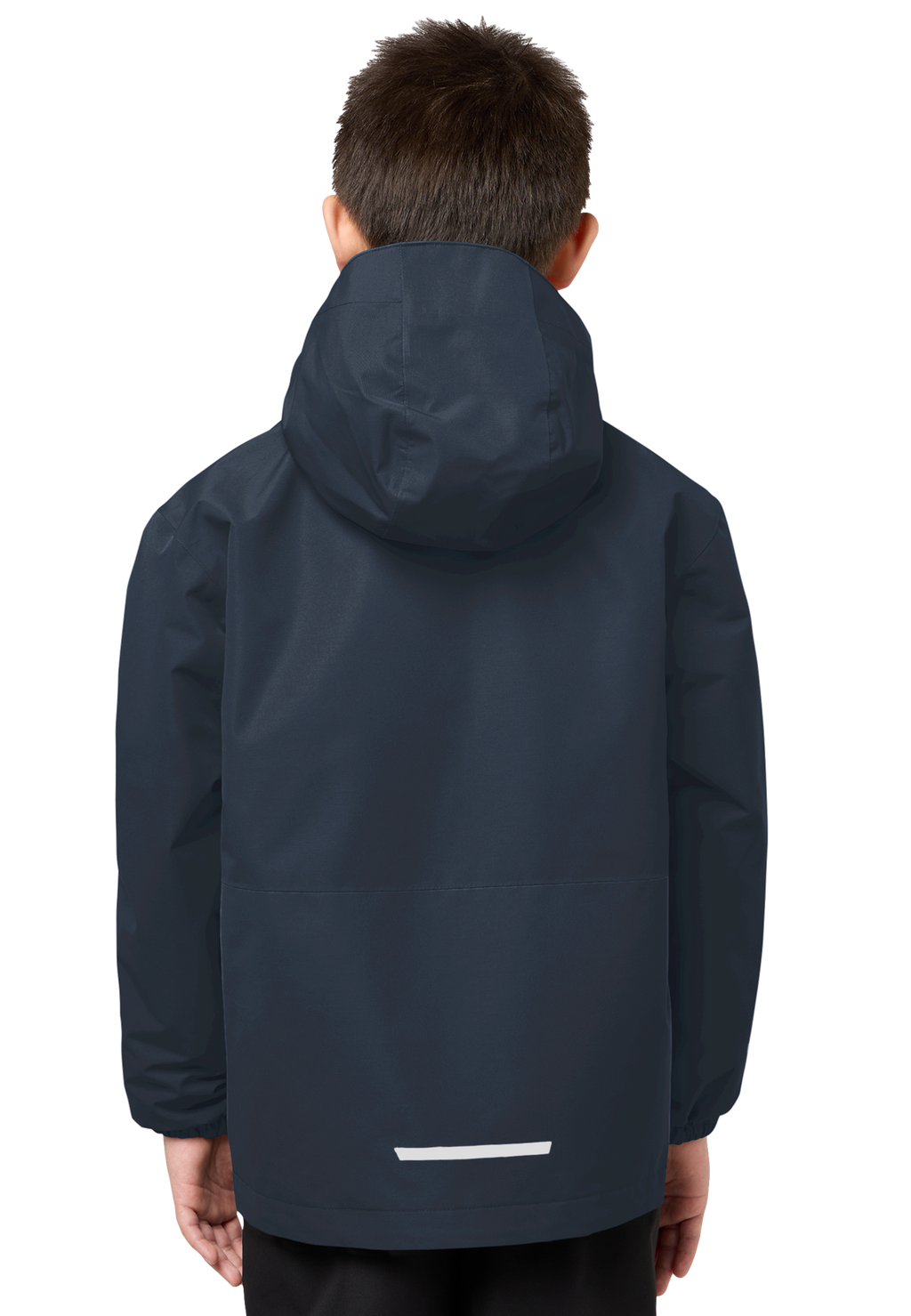 1610081_1010