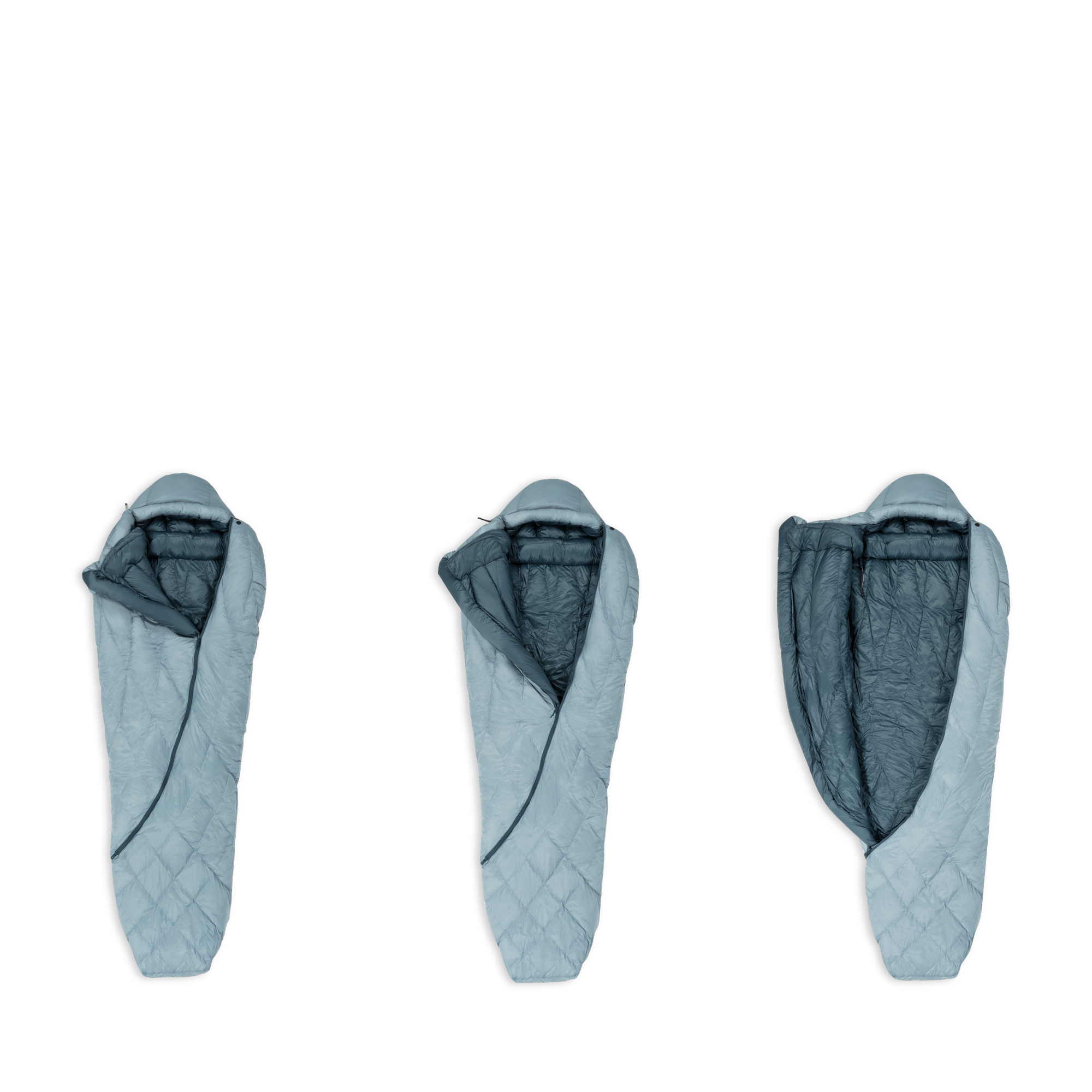 3007951_1282