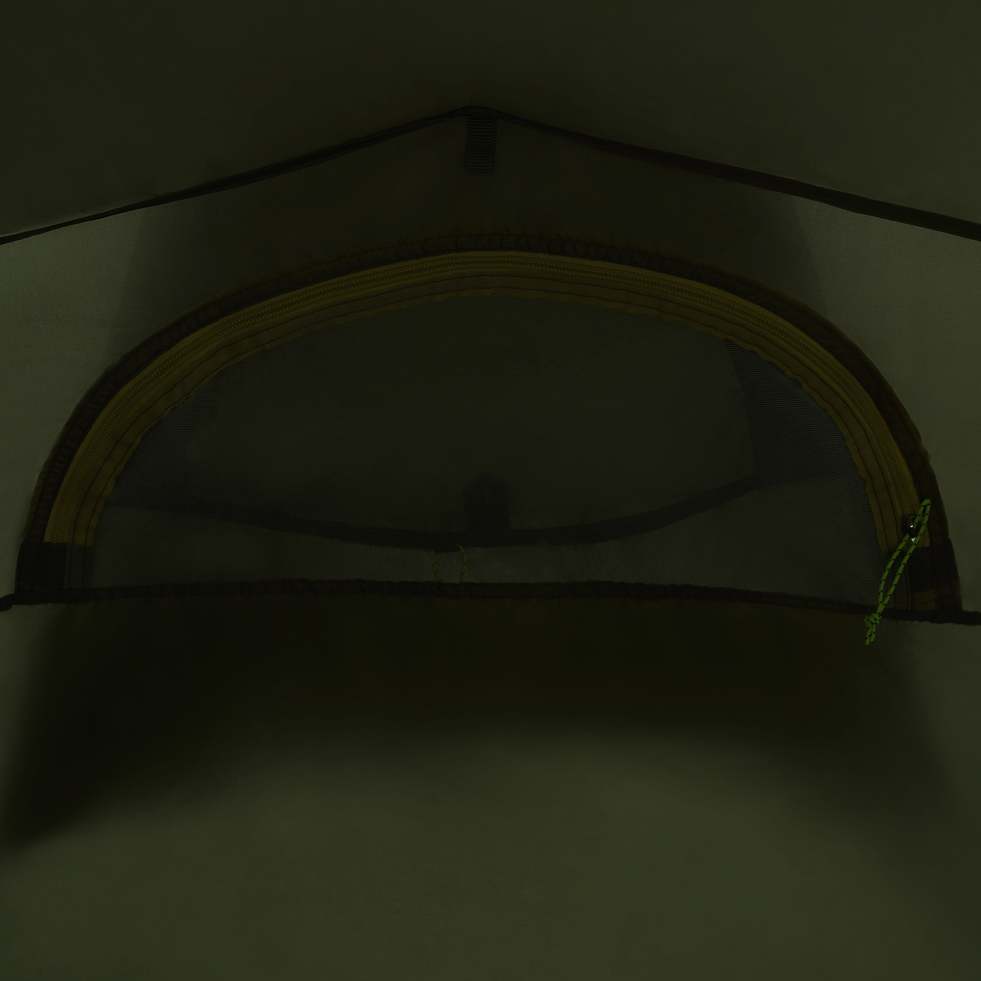 3008251_4341