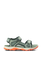 4039531_4137