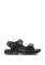 4039531_6000