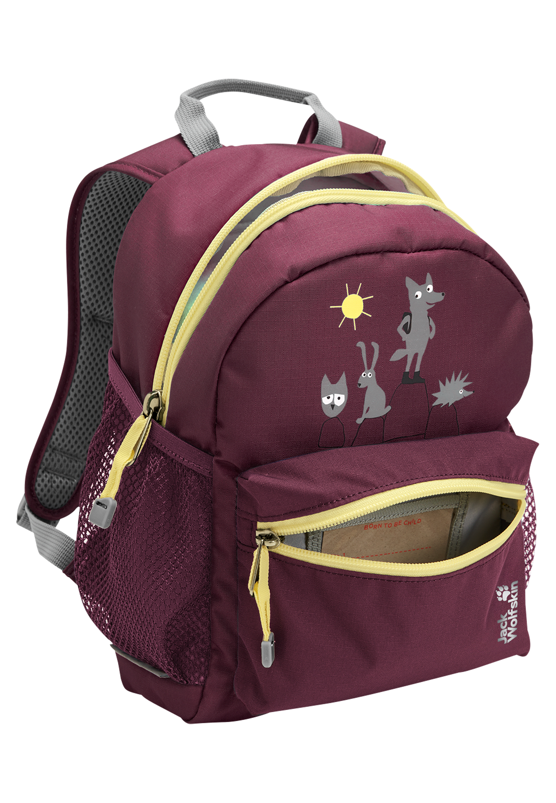 LITTLE SCOUT 10