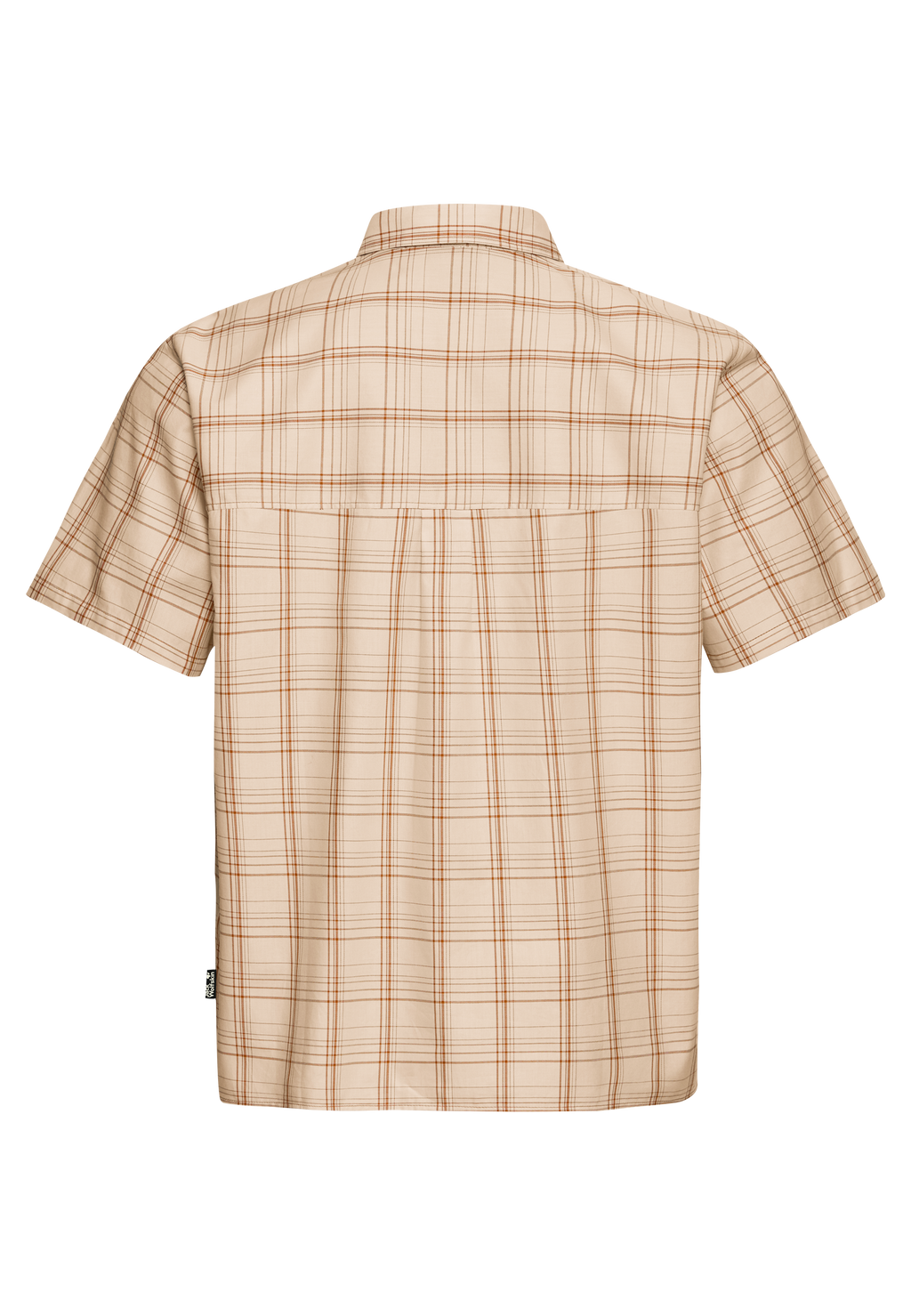 A65906_T0384