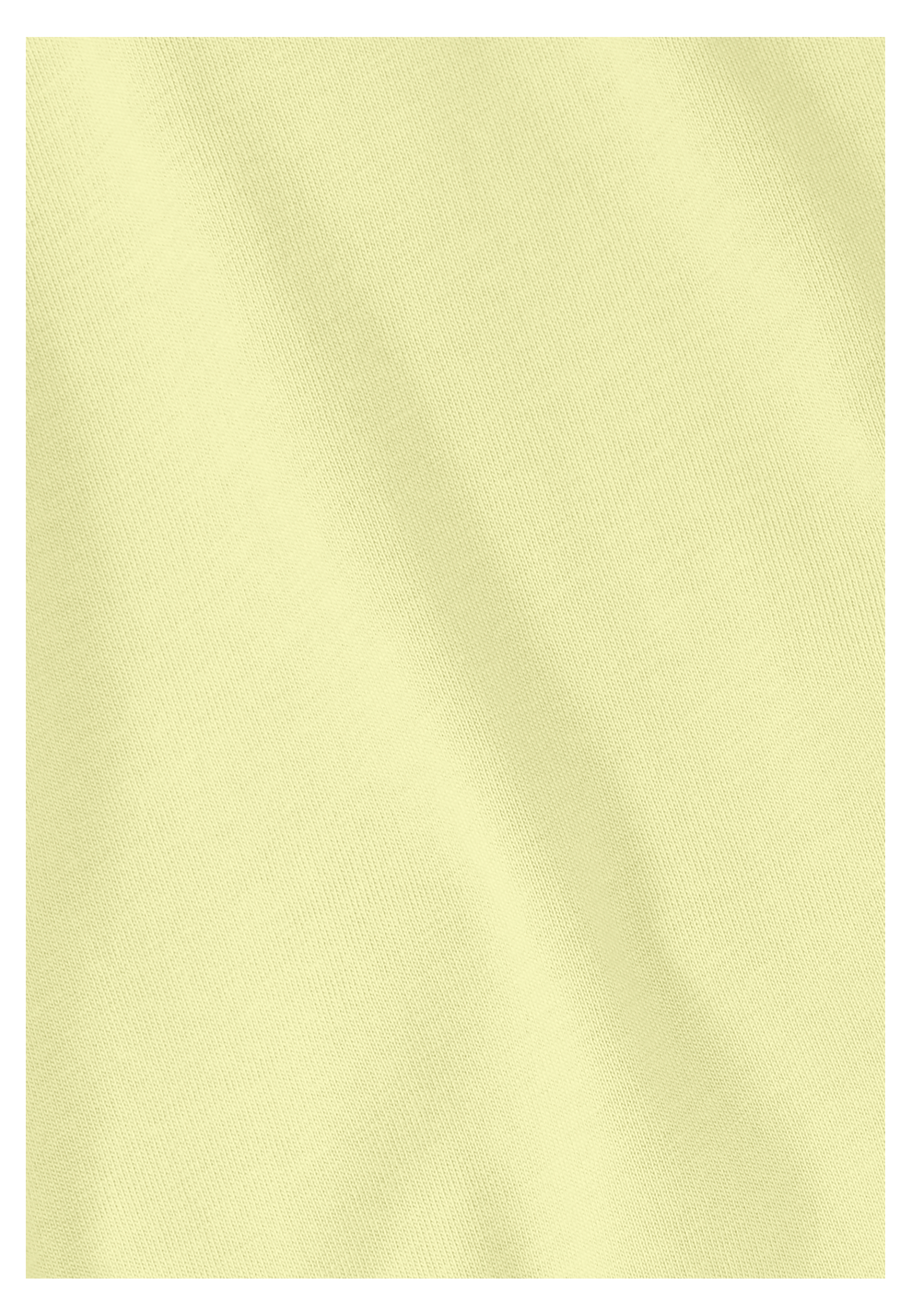 A65913_T0410