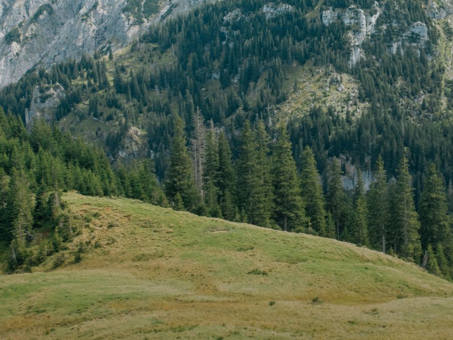 Damen Outdoor Ausrüstung online kaufen – JACK WOLFSKIN
