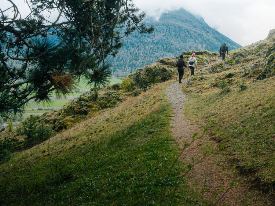 jack wolfskin gloves mens