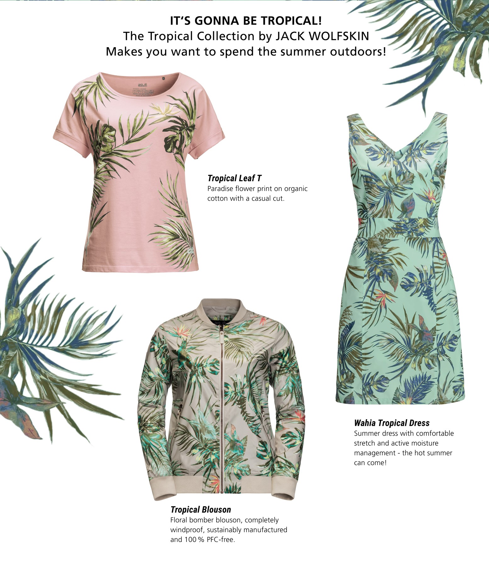 Jack wolfskin tropical blouson discount