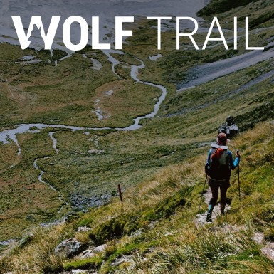 Category image for Wolf Trail
