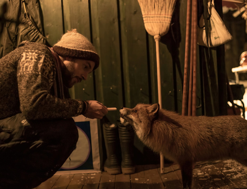 Chris feeding a fox