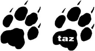 taz – JACK