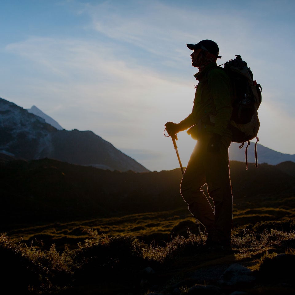 Campaign image for the Wolf Trail